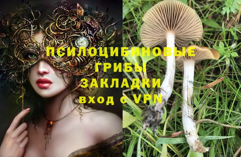 Псилоцибиновые грибы MAGIC MUSHROOMS  где можно купить наркотик  это формула  Починок 